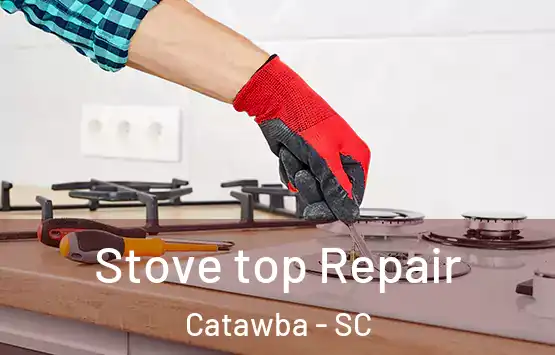  Stove top Repair Catawba - SC