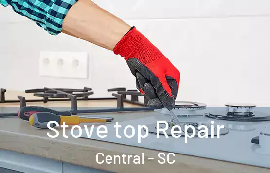  Stove top Repair Central - SC