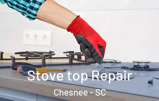  Stove top Repair Chesnee - SC