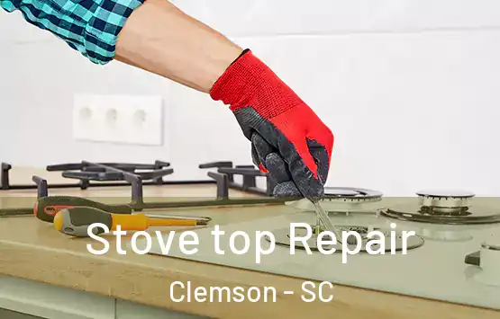  Stove top Repair Clemson - SC
