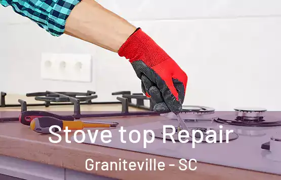  Stove top Repair Graniteville - SC