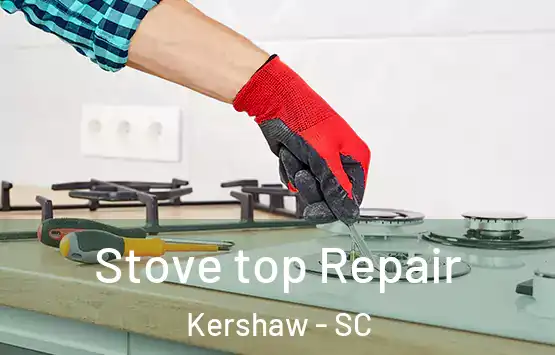  Stove top Repair Kershaw - SC