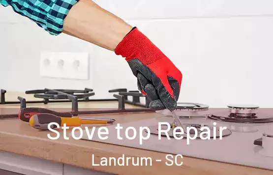  Stove top Repair Landrum - SC