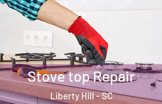  Stove top Repair Liberty Hill - SC
