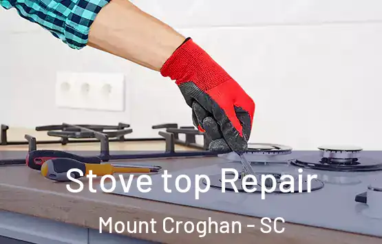  Stove top Repair Mount Croghan - SC