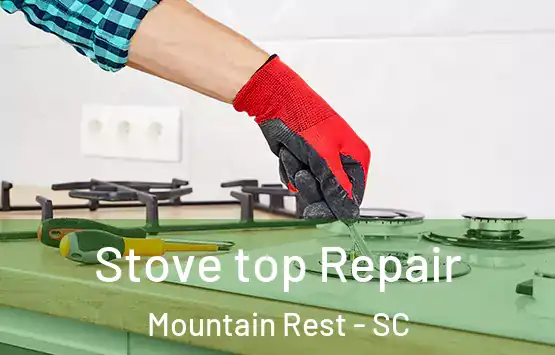  Stove top Repair Mountain Rest - SC