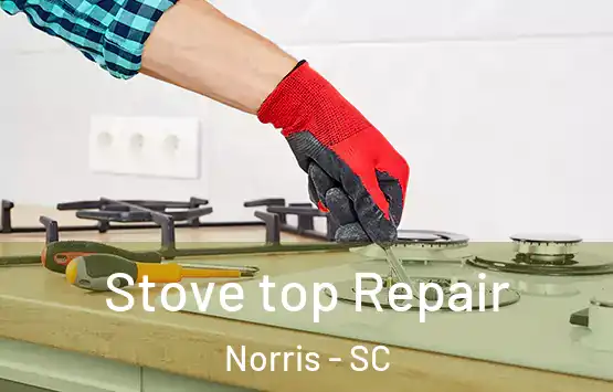  Stove top Repair Norris - SC