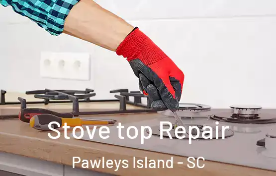  Stove top Repair Pawleys Island - SC