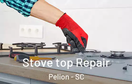  Stove top Repair Pelion - SC