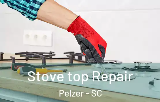  Stove top Repair Pelzer - SC