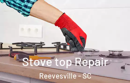  Stove top Repair Reevesville - SC