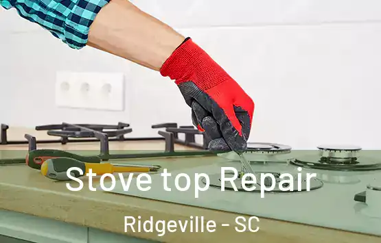  Stove top Repair Ridgeville - SC