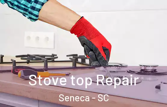  Stove top Repair Seneca - SC