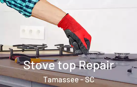  Stove top Repair Tamassee - SC