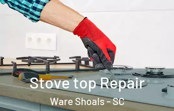  Stove top Repair Ware Shoals - SC