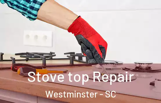  Stove top Repair Westminster - SC