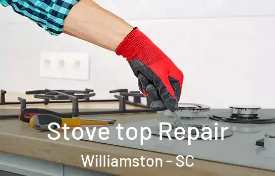  Stove top Repair Williamston - SC