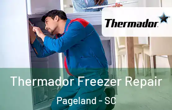  Thermador Freezer Repair Pageland - SC