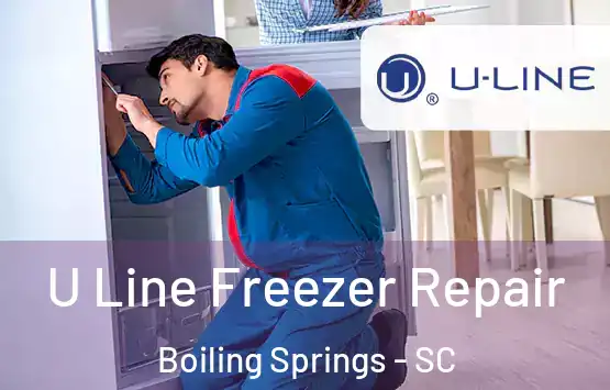  U Line Freezer Repair Boiling Springs - SC