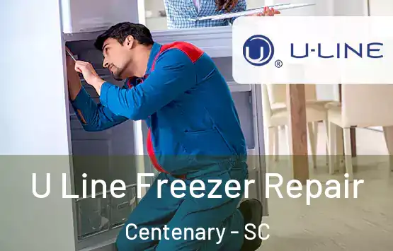  U Line Freezer Repair Centenary - SC