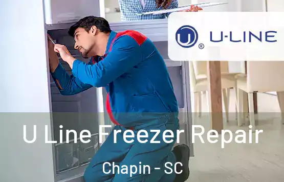  U Line Freezer Repair Chapin - SC
