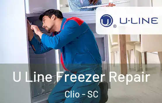  U Line Freezer Repair Clio - SC