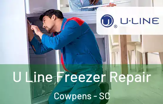  U Line Freezer Repair Cowpens - SC
