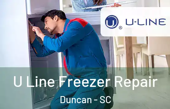  U Line Freezer Repair Duncan - SC
