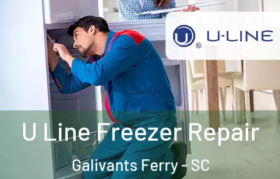  U Line Freezer Repair Galivants Ferry - SC