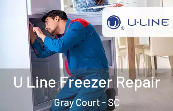  U Line Freezer Repair Gray Court - SC