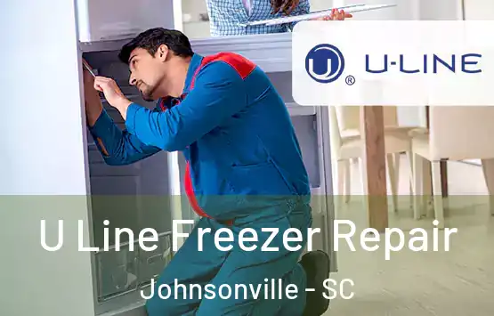  U Line Freezer Repair Johnsonville - SC