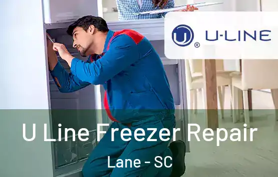  U Line Freezer Repair Lane - SC