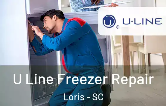  U Line Freezer Repair Loris - SC