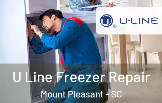  U Line Freezer Repair Mount Pleasant - SC