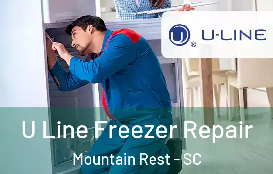  U Line Freezer Repair Mountain Rest - SC