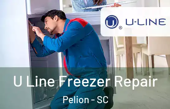  U Line Freezer Repair Pelion - SC