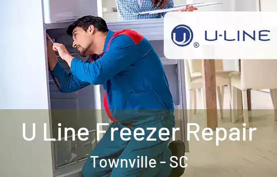  U Line Freezer Repair Townville - SC