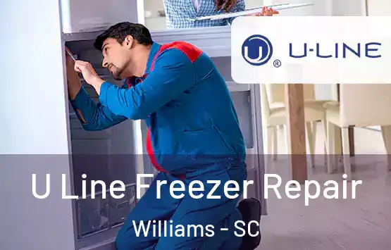 U Line Freezer Repair Williams - SC