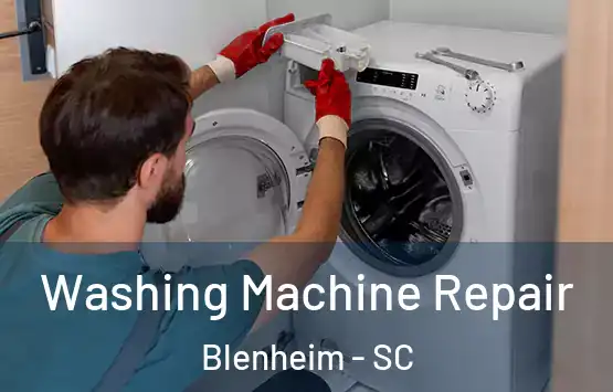  Washing Machine Repair Blenheim - SC