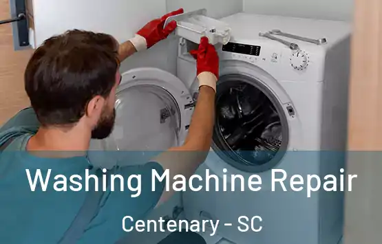  Washing Machine Repair Centenary - SC