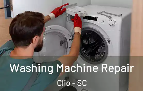  Washing Machine Repair Clio - SC