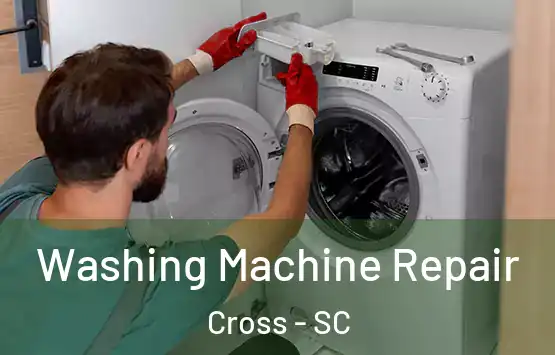  Washing Machine Repair Cross - SC