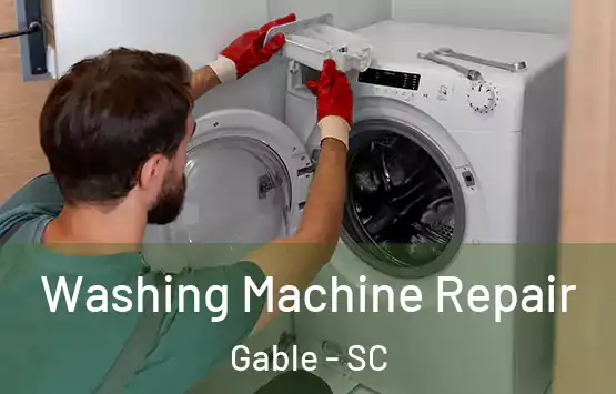  Washing Machine Repair Gable - SC