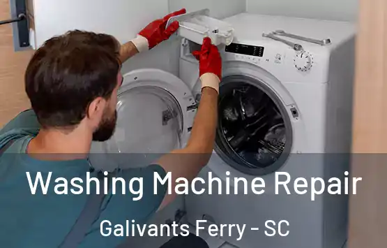  Washing Machine Repair Galivants Ferry - SC