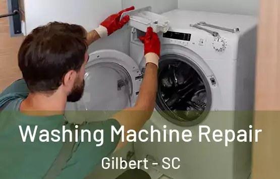  Washing Machine Repair Gilbert - SC