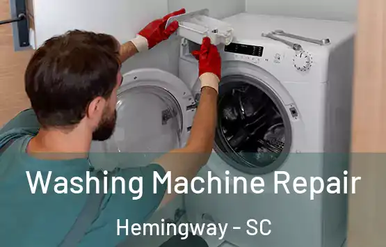  Washing Machine Repair Hemingway - SC