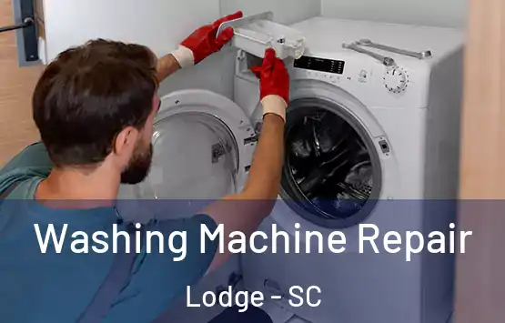  Washing Machine Repair Lodge - SC