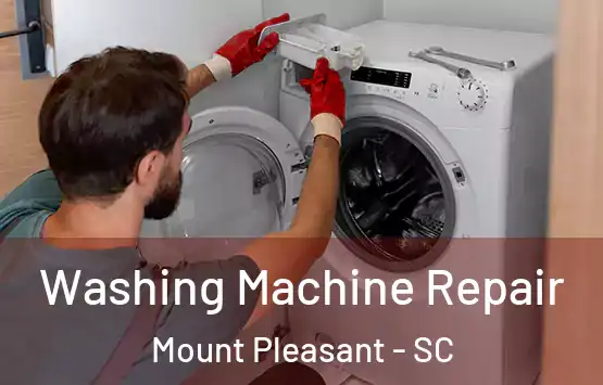 Washing Machine Repair Mount Pleasant - SC