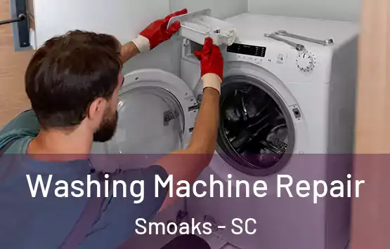 Washing Machine Repair Smoaks - SC