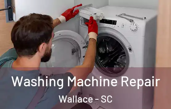  Washing Machine Repair Wallace - SC